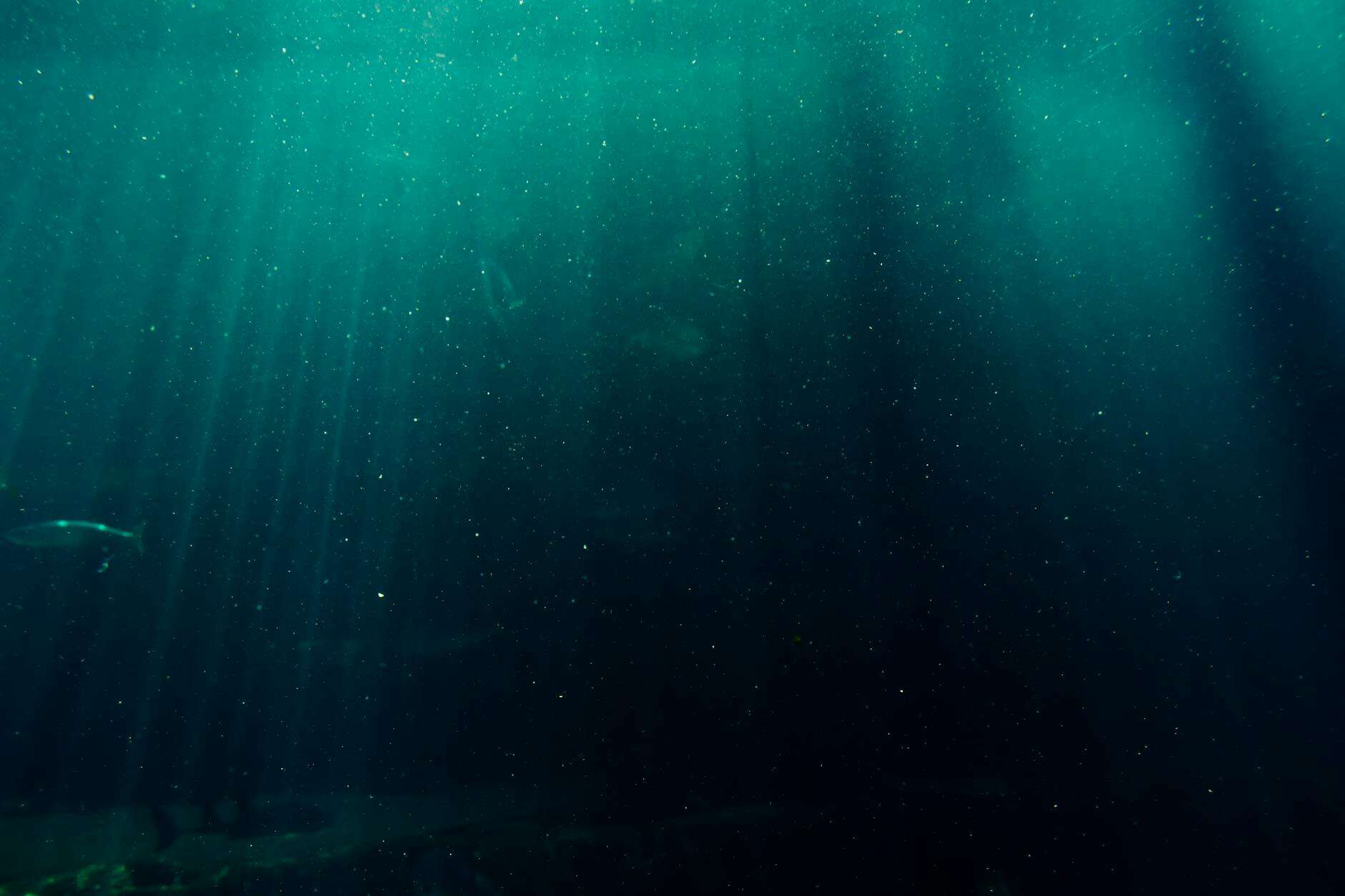 underwater photography of deep sea
