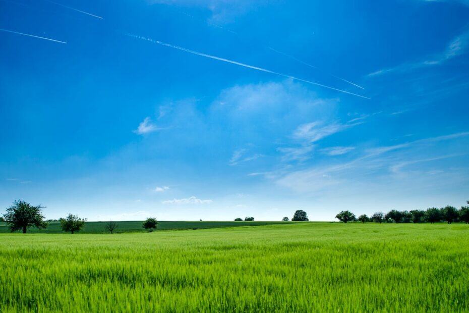 Tranquil rural landscape with lush green field and bright blue sky.