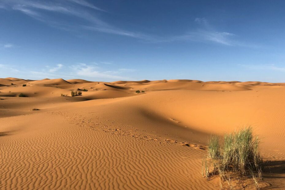 Explore the beautiful sand dunes under a clear blue sky in Egypt's striking desert landscape.