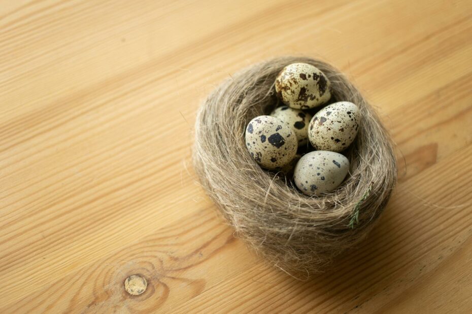 Rustic display of quail eggs in a natural nest on a wooden table, showcasing organic food aesthetics.