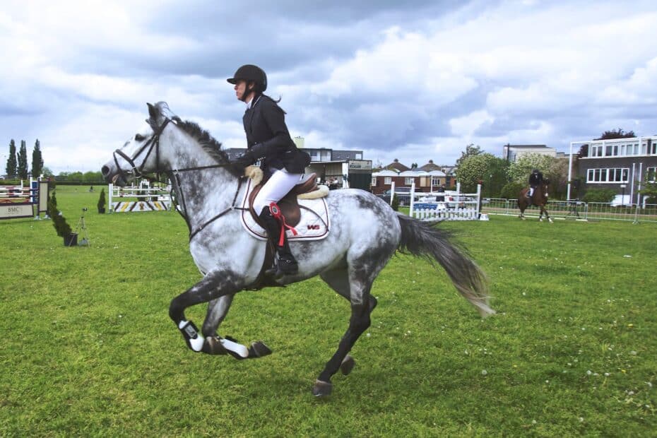 Rider on a gray horse performing show jumping outdoors. Captured action shot.