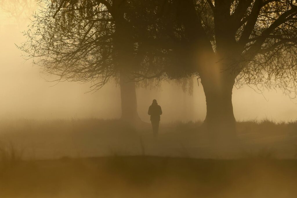 A lone silhouette walks through foggy trees in Hyde Park, London, creating a serene and mysterious atmosphere.